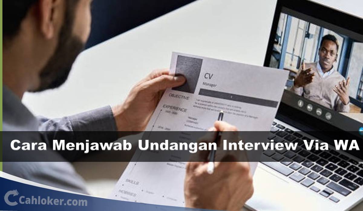 Cara menjawab undangan interview via wa