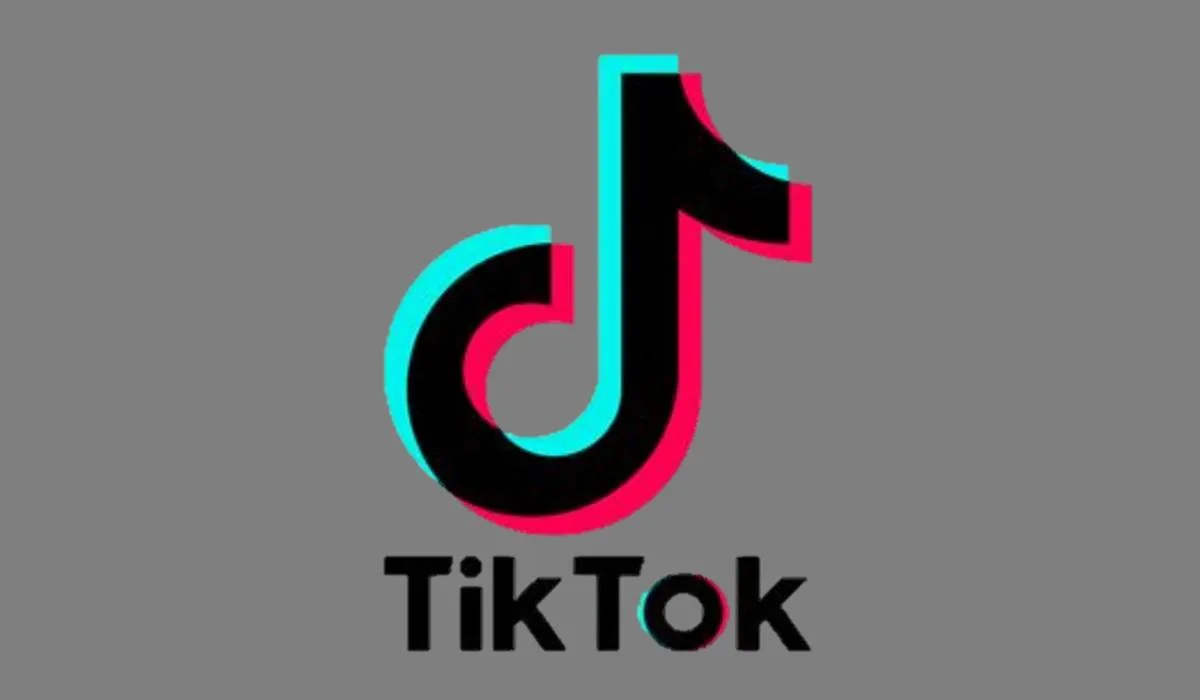 Cara Melihat History TikTok Tanpa Login