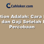 Probation Adalah: Cara Kerja, Tips, dan Gaji Setelah Masa Percobaan