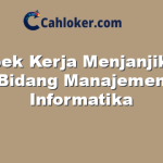 Prospek Kerja Menjanjikan di Bidang Manajemen Informatika