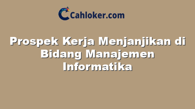 Prospek Kerja Menjanjikan di Bidang Manajemen Informatika